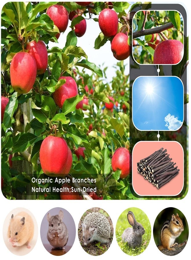 ERKOON Natural Apple Sticks 500g (1.1lb) Small Animals Molar Chew Toys Apple Branch Chew Treats for Hamster Rabbit Chinchilla Bunny Guinea Pig Squirrel - Image 5